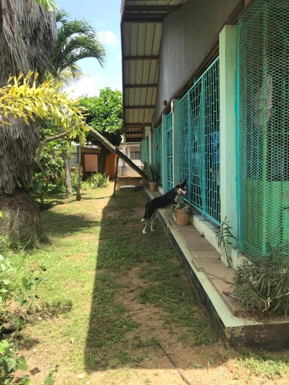 Unu Pikin Guesthouse Paramaribo Room photo